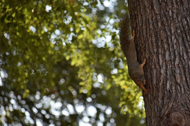 長即是富邦 長即是富邦