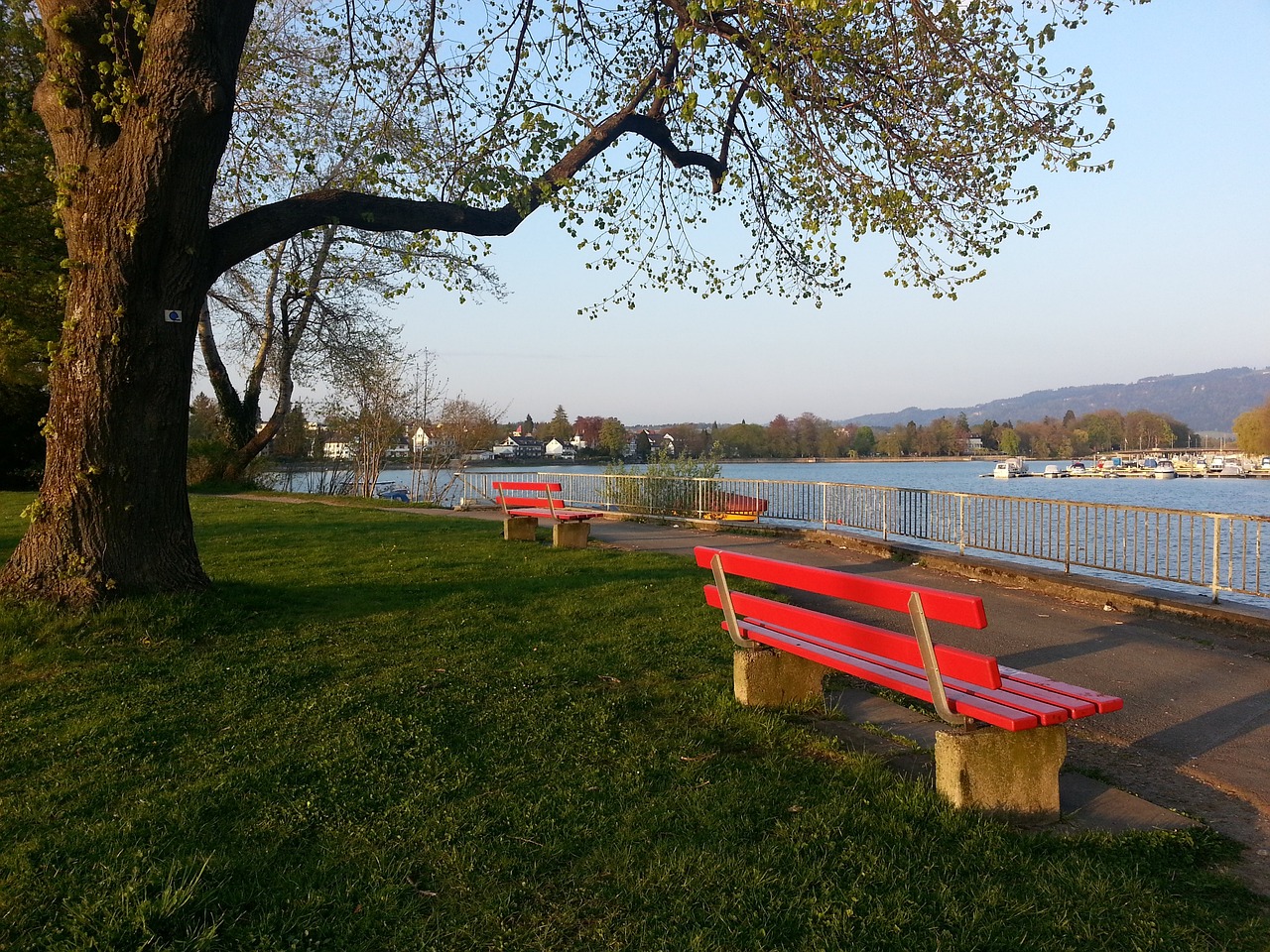 丰富履历 丰富履历