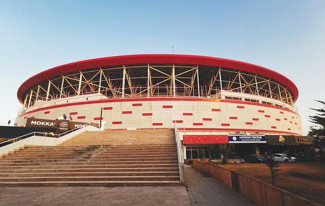 很多足球明 很多足球明