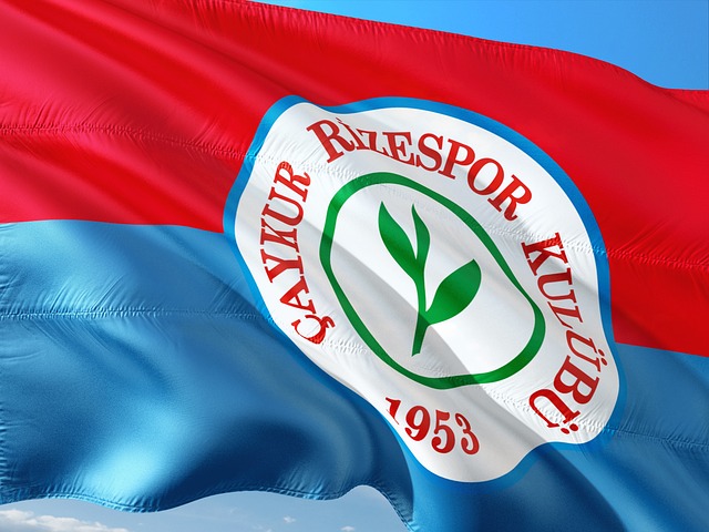 推动者和引 推动者和引