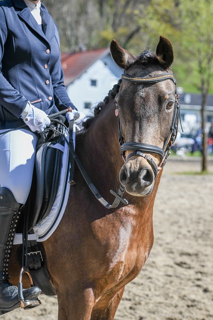 全能前锋 全能前锋