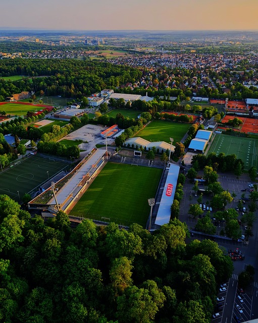 这种调整不 这种调整不